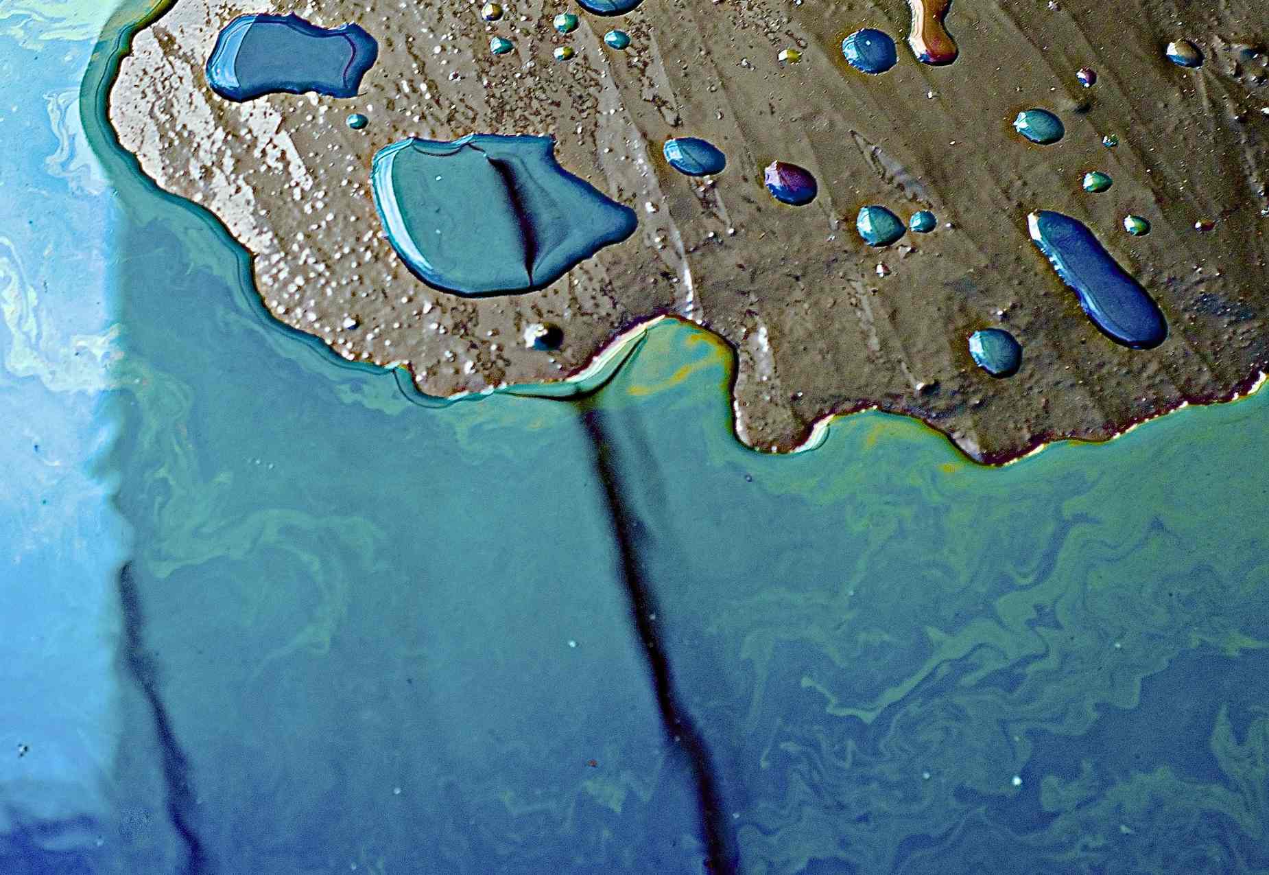 كارثة بيئية كبيرة جداً في روسيا وبوتين يعلن حالة الكوارث البيئية.