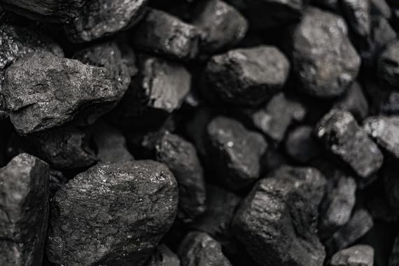 الفحم الحجري، كيف يتكون؟