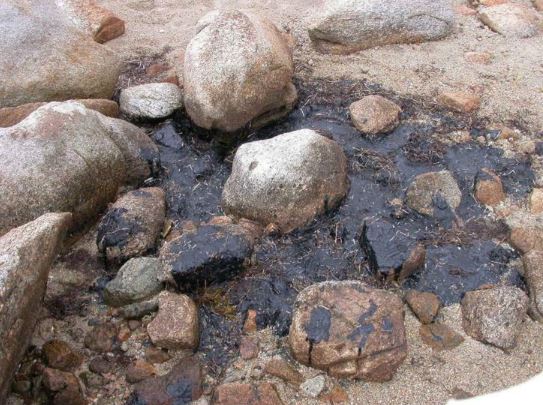 مراحل تشكل النفط